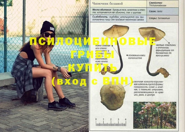скорость Абинск