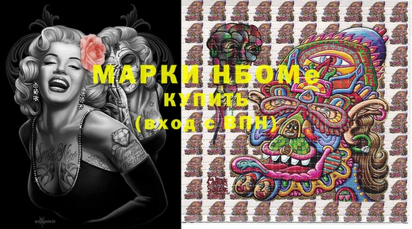 гашик Переславль-Залесский