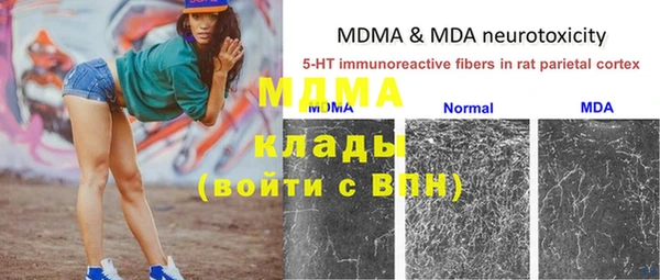 бошки Абаза