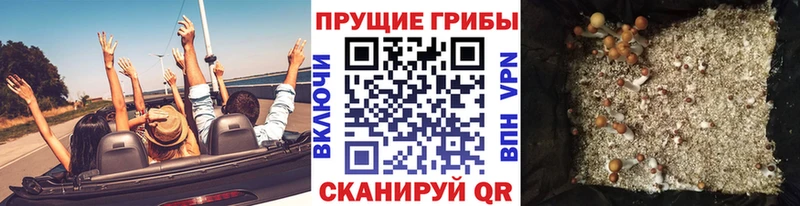 Галлюциногенные грибы MAGIC MUSHROOMS Красный Сулин
