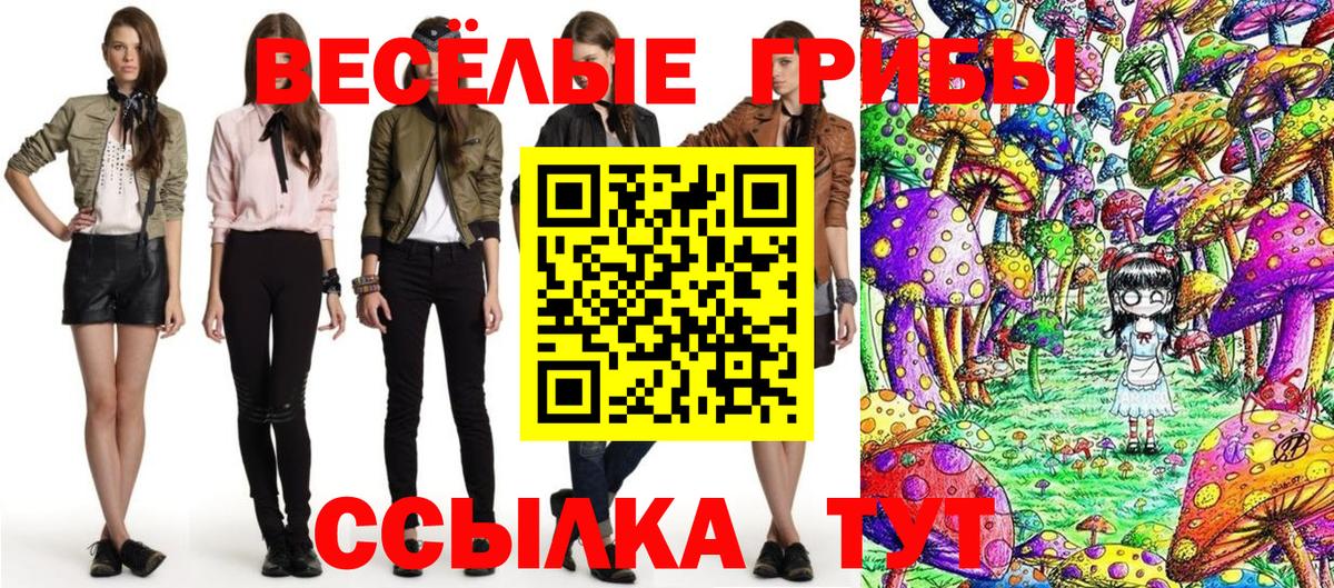 купить   Вход с VPN  Красный Сулин  Псилоцибиновые грибы MAGIC MUSHROOMS 